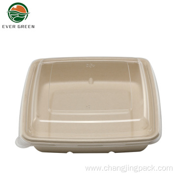 Eco Friendly Biodegradable Salad Packaging Food Container